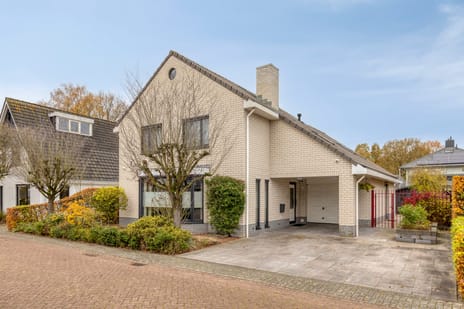 undefined main image