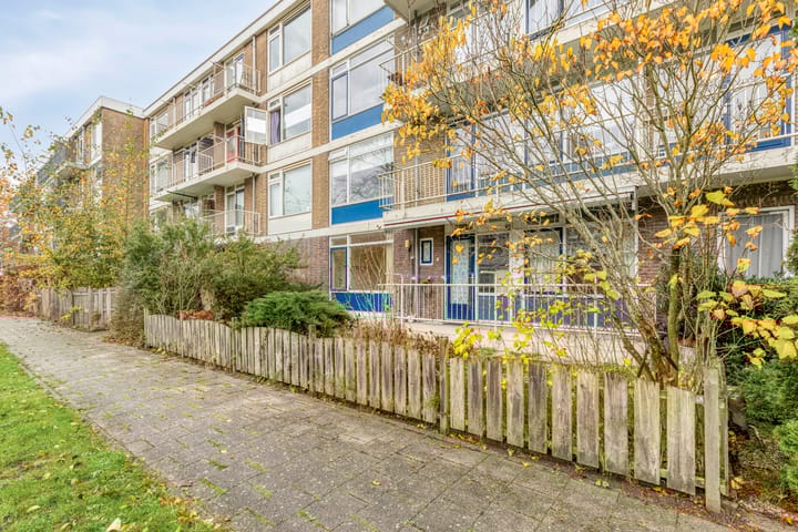 Photo 28 of Middelrode 43