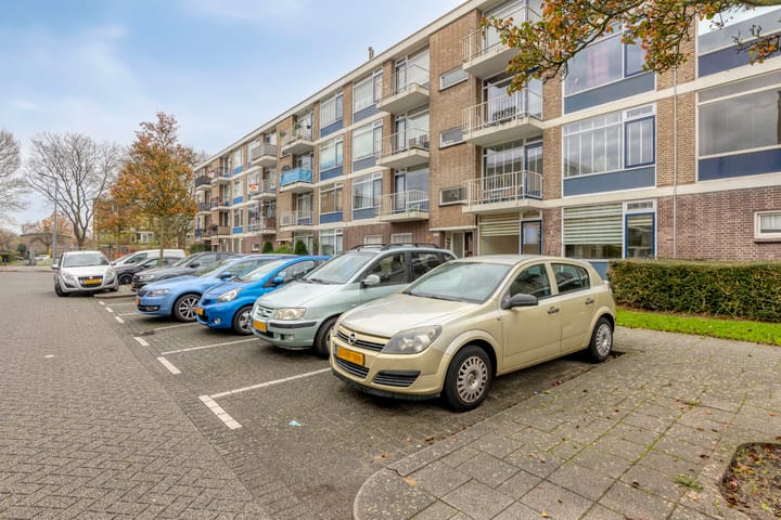 Photo 35 of Middelrode 43