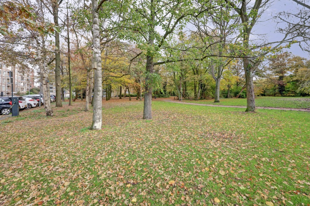 Foto 23 van Burgemeester Stulemeijerlaan 11