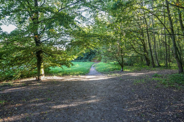 Photo 31 of Eendekamp 92