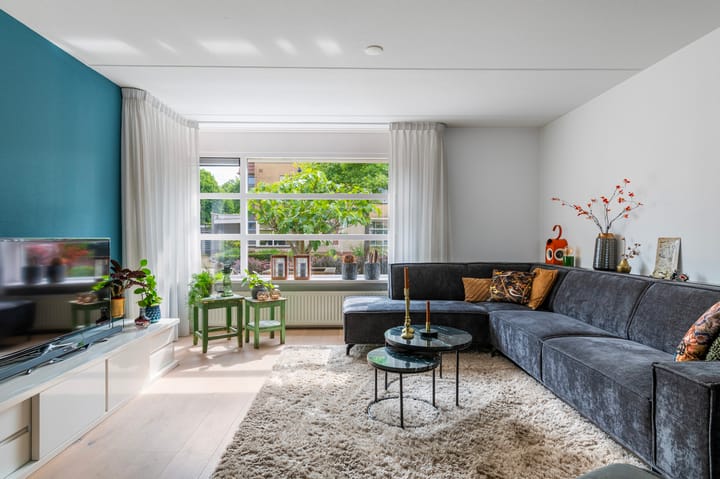 Photo 8 of Kievit 32