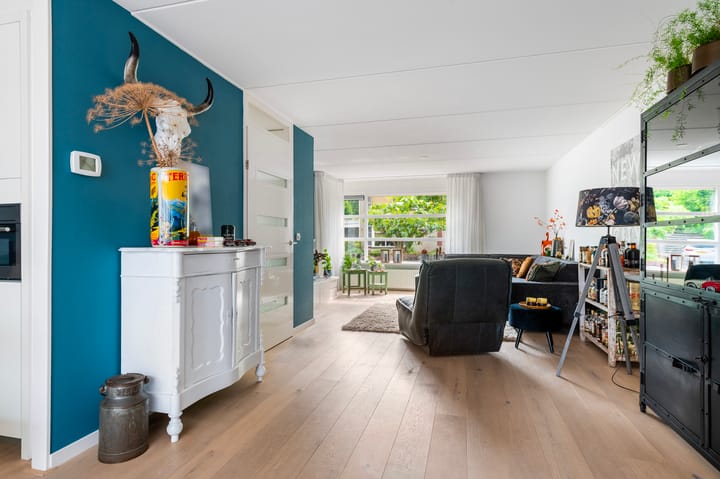 Photo 9 of Kievit 32