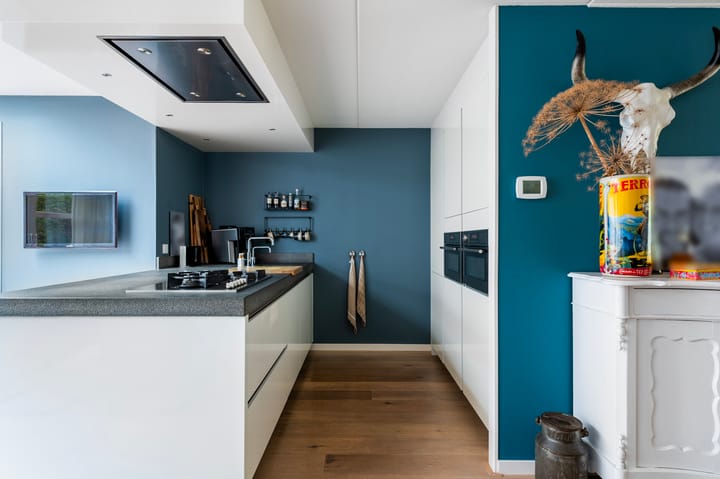 Photo 12 of Kievit 32