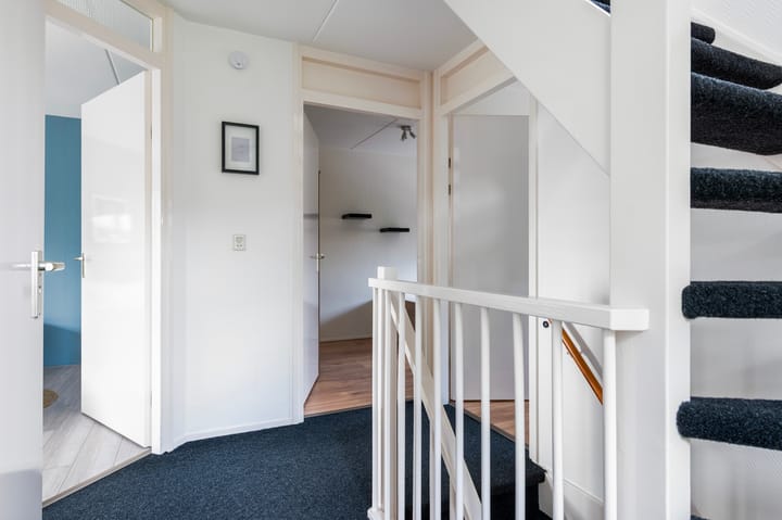 Photo 19 of Kievit 32