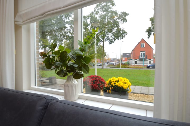 Foto 3 van Torteltuin 7