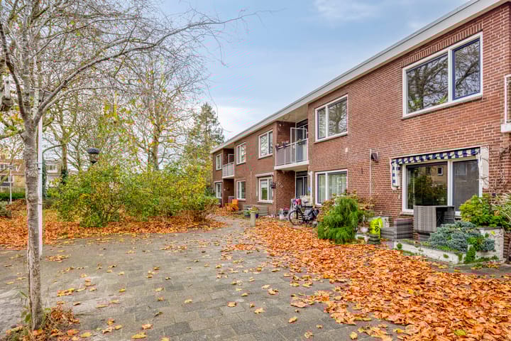 Photo 24 of Joseph Haydnlaan 72