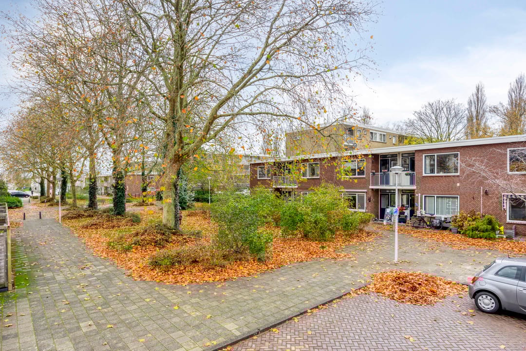 Photo 26 of Joseph Haydnlaan 72