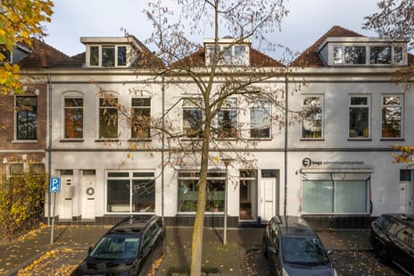 Sonsbeeksingel thumbnail