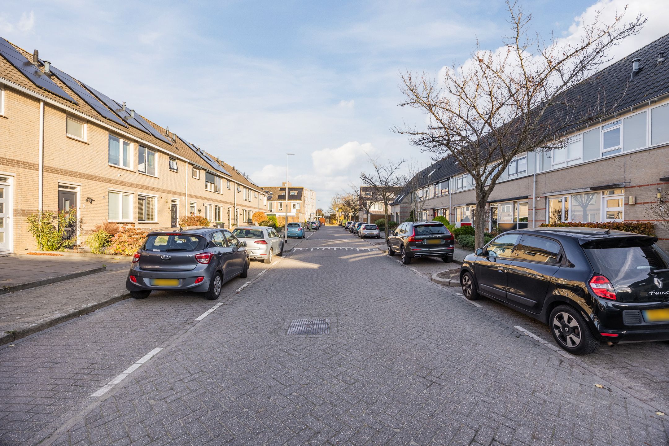 Foto 9 van Zwaanhil 3