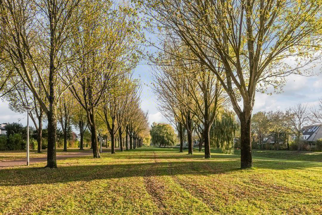 Foto 46 van Zwaanhil 3