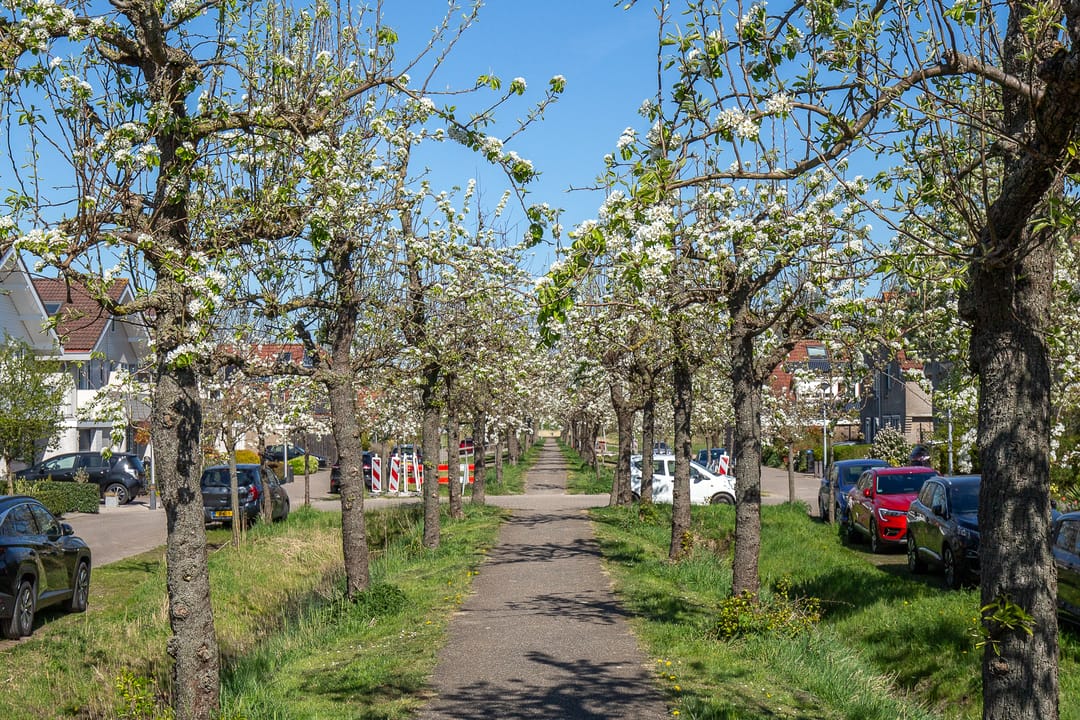 Foto 52 van Rijnlaan 8