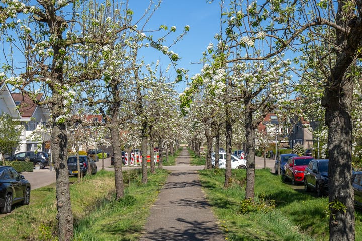 Photo 52 of Rijnlaan 8