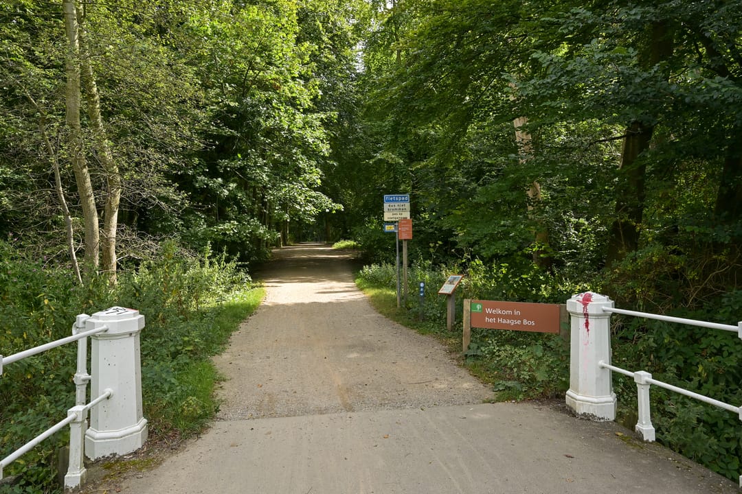 Foto 62 van Laan van Clingendael 2