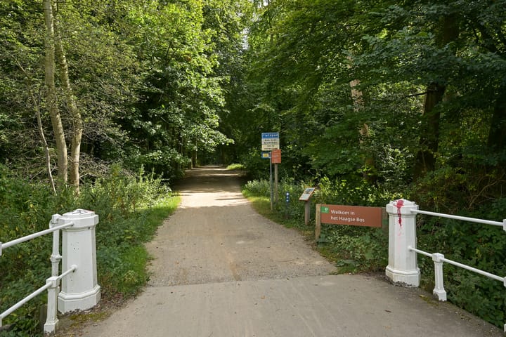 Foto 62 van Laan van Clingendael 2