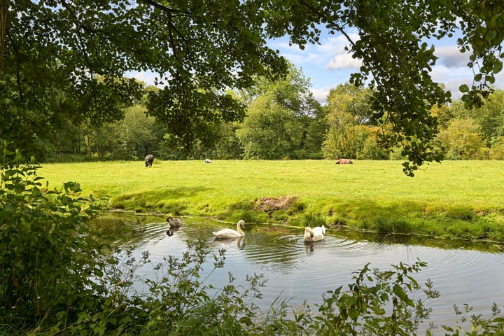 Foto 66 van Laan van Clingendael 2