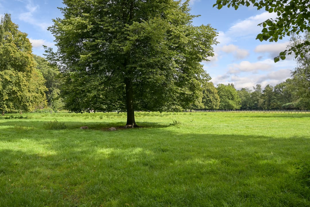 Foto 68 van Laan van Clingendael 2