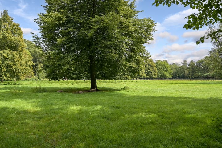 Foto 68 van Laan van Clingendael 2