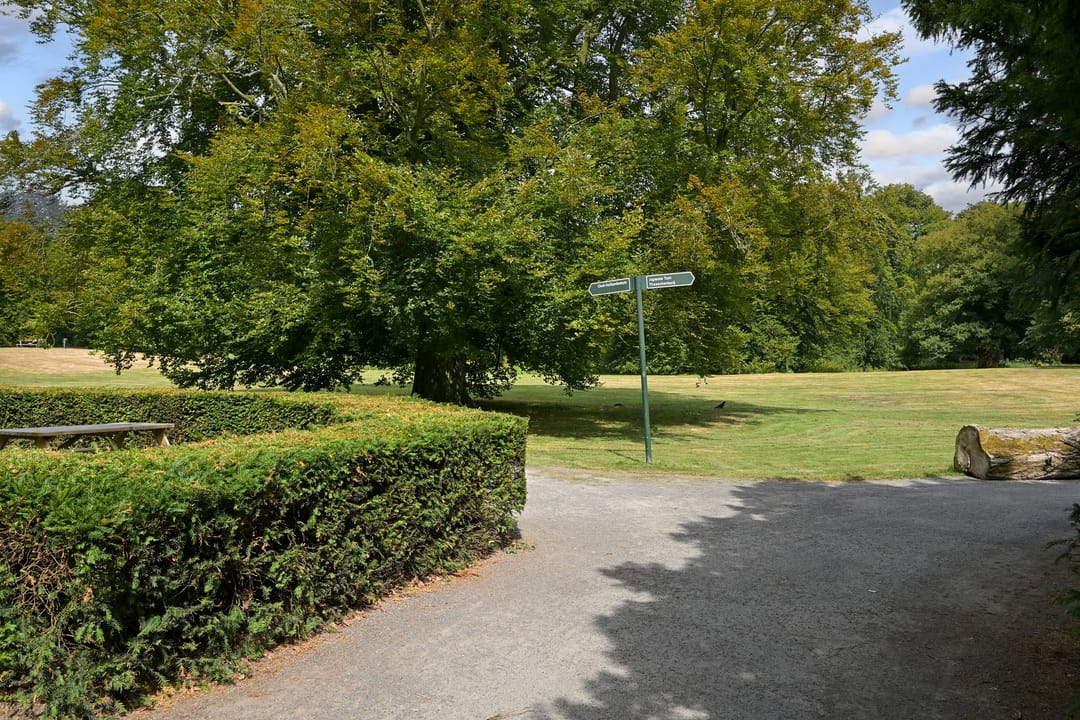 Foto 71 van Laan van Clingendael 2