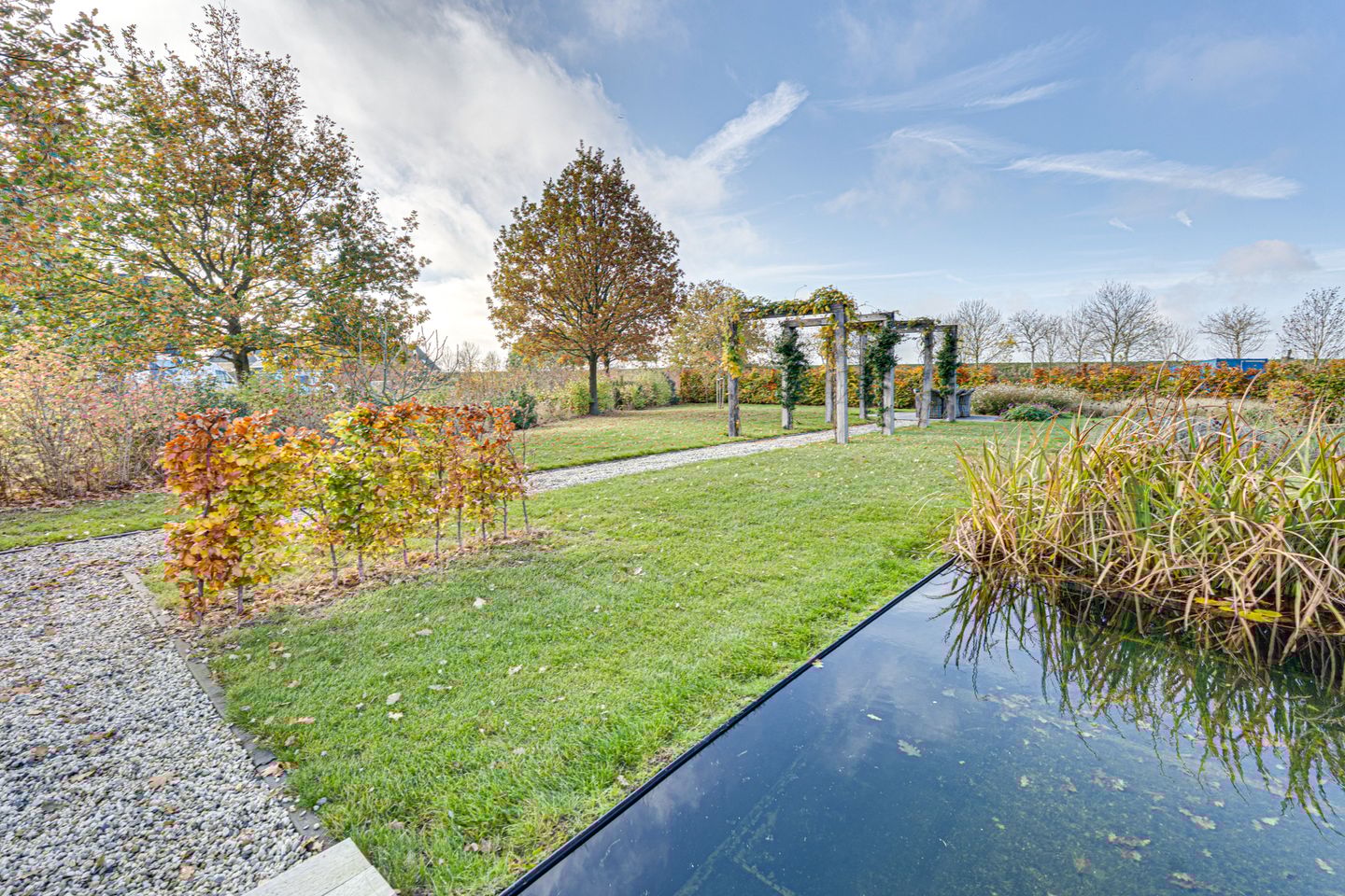 Foto 100 van Zwartebessenstraat 16