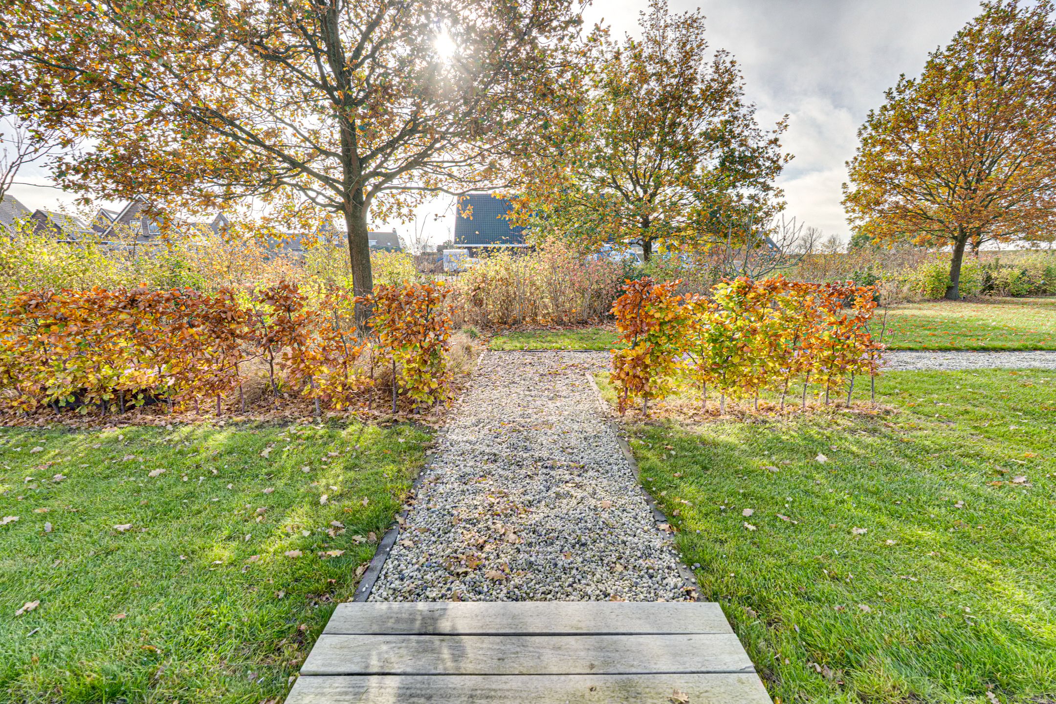 Foto 99 van Zwartebessenstraat 16