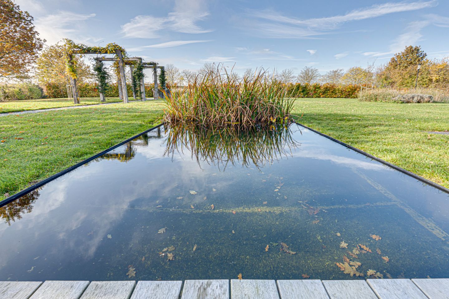 Foto 134 van Zwartebessenstraat 16