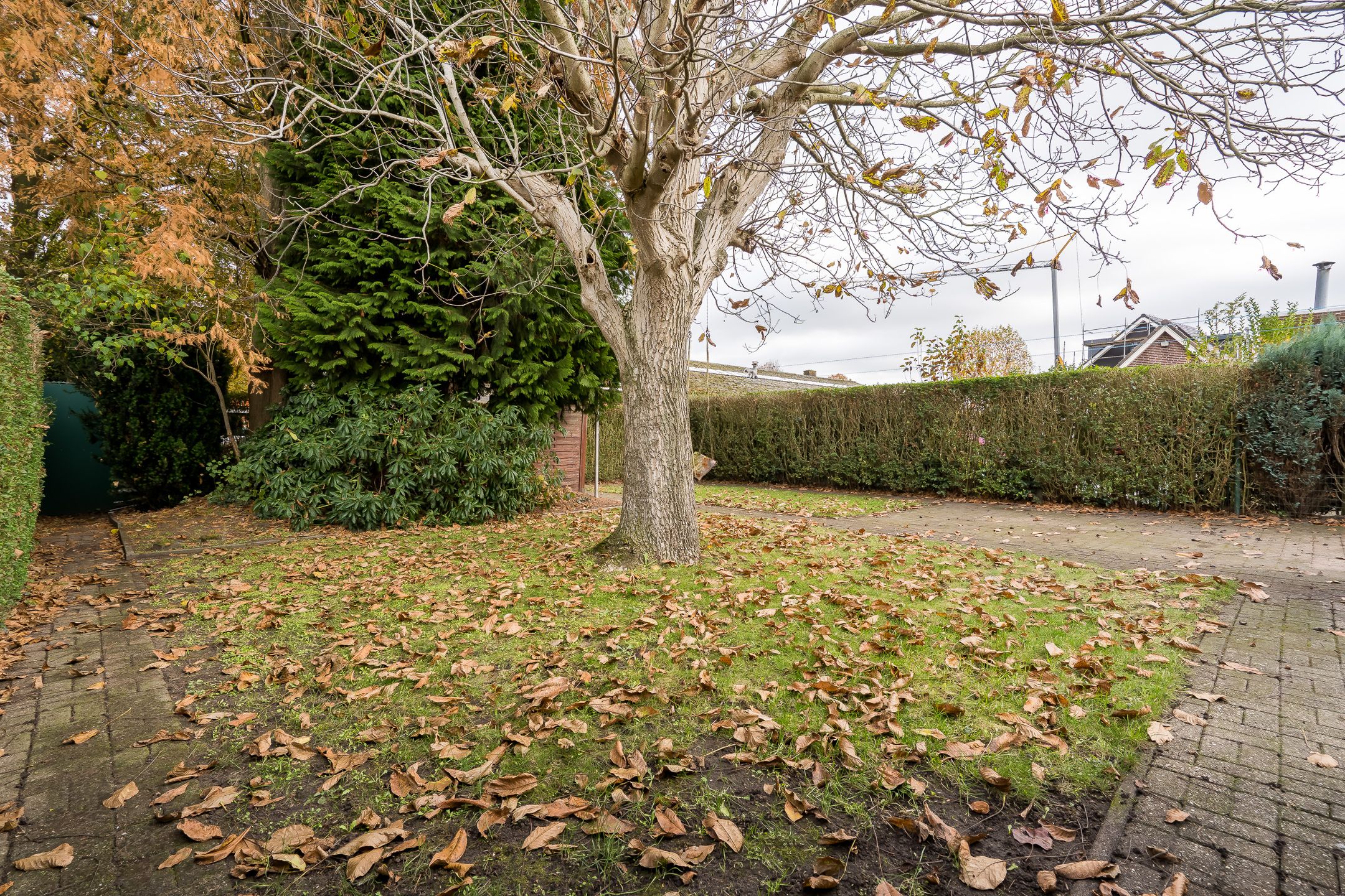 Foto 48 van Verreussellaan 31