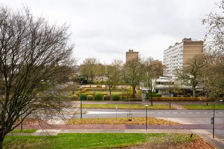 Photo 18 of Haverweerd 42