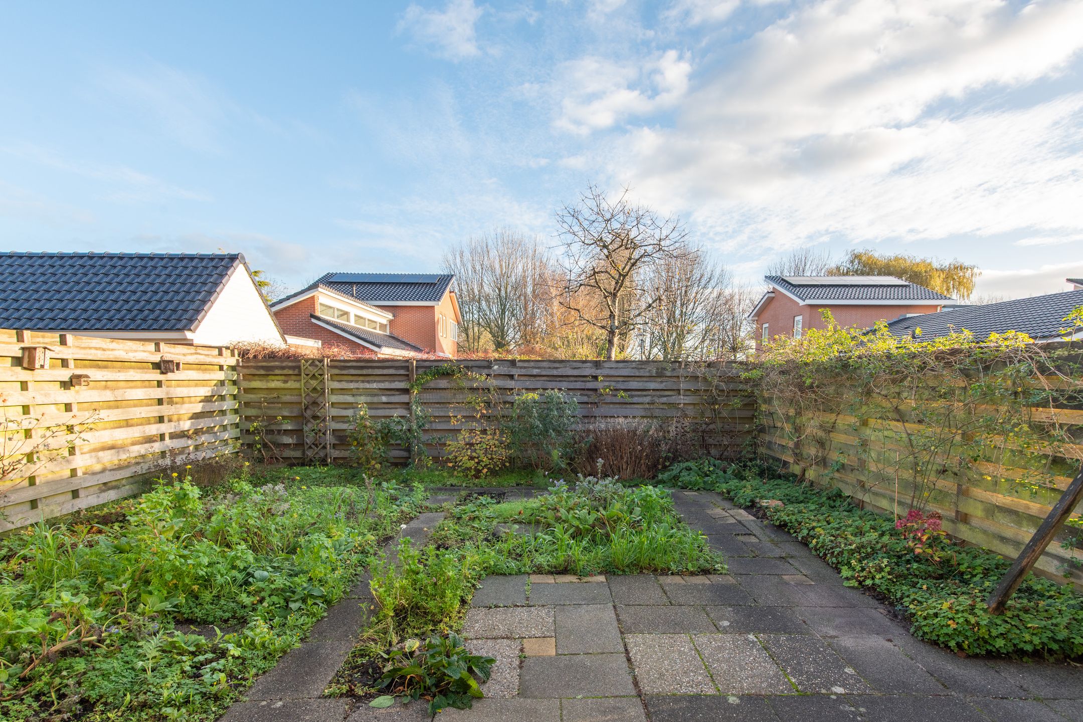 Photo 45 of Groene Steen 32