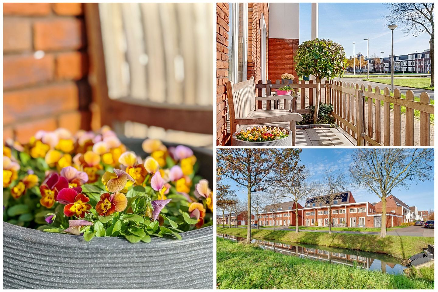 Photo 5 of Ivoorzwamsingel 3