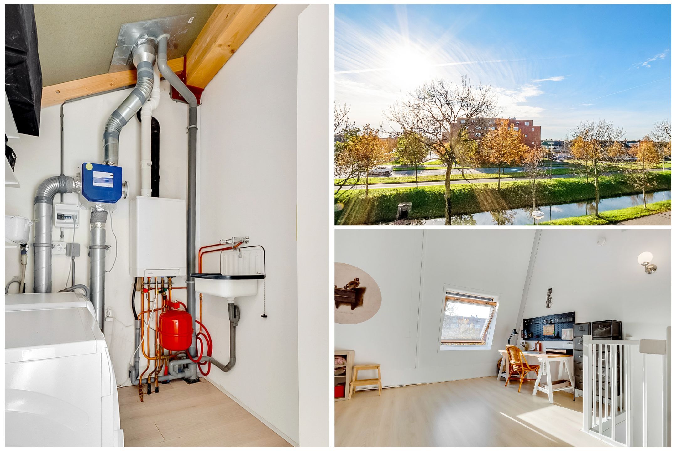 Photo 33 of Ivoorzwamsingel 3