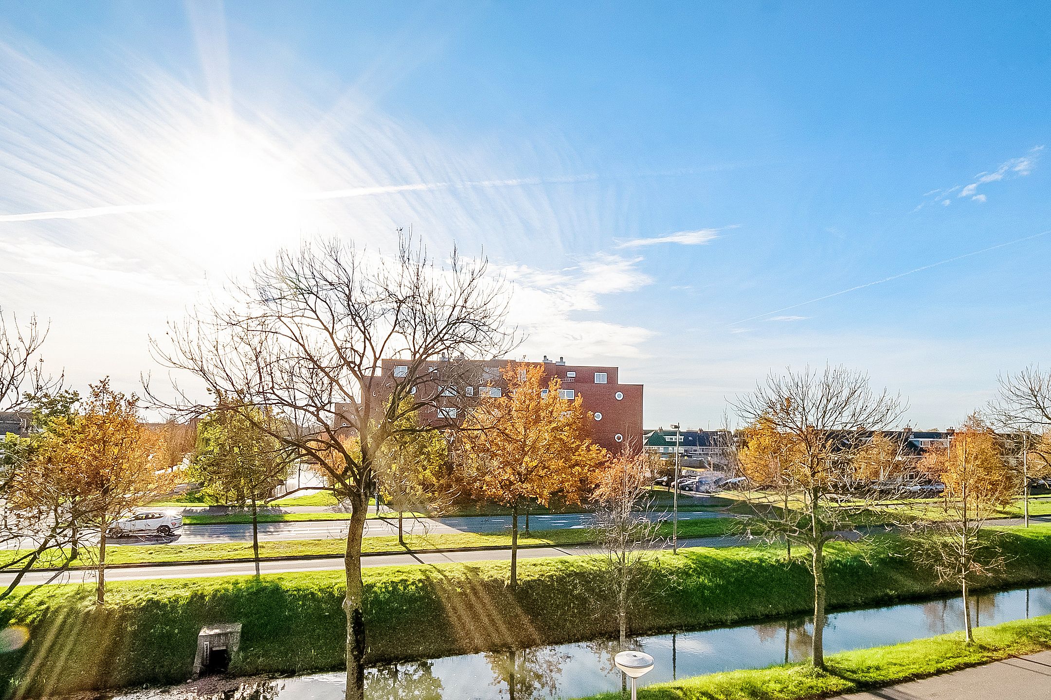 Photo 39 of Ivoorzwamsingel 3