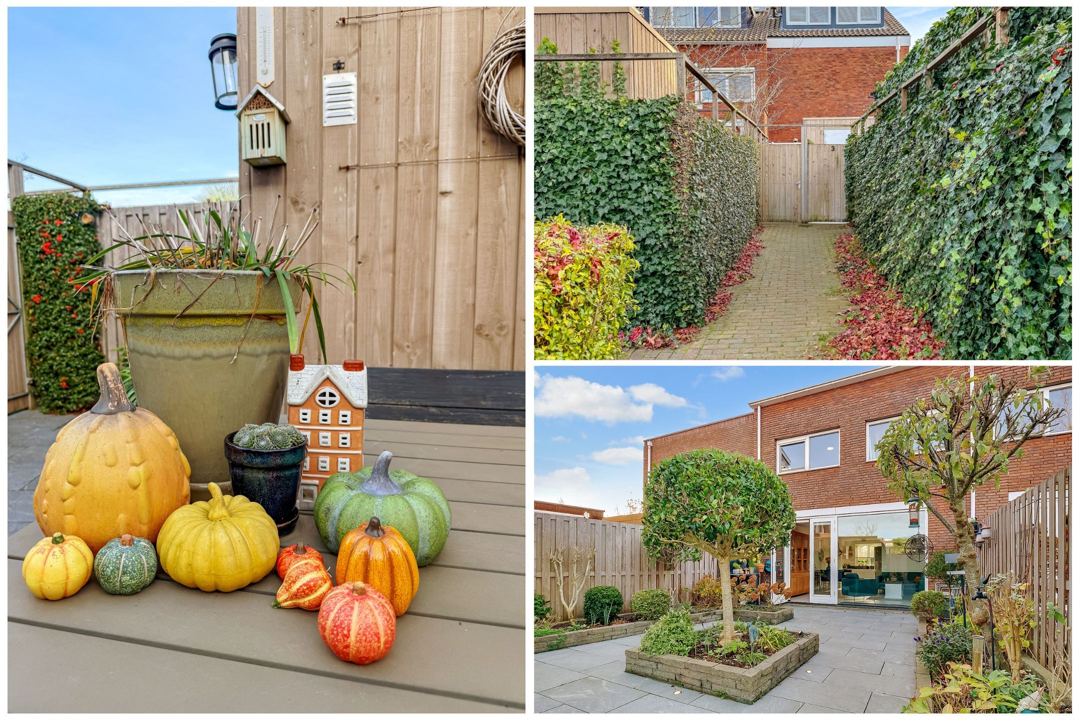 Photo 42 of Ivoorzwamsingel 3