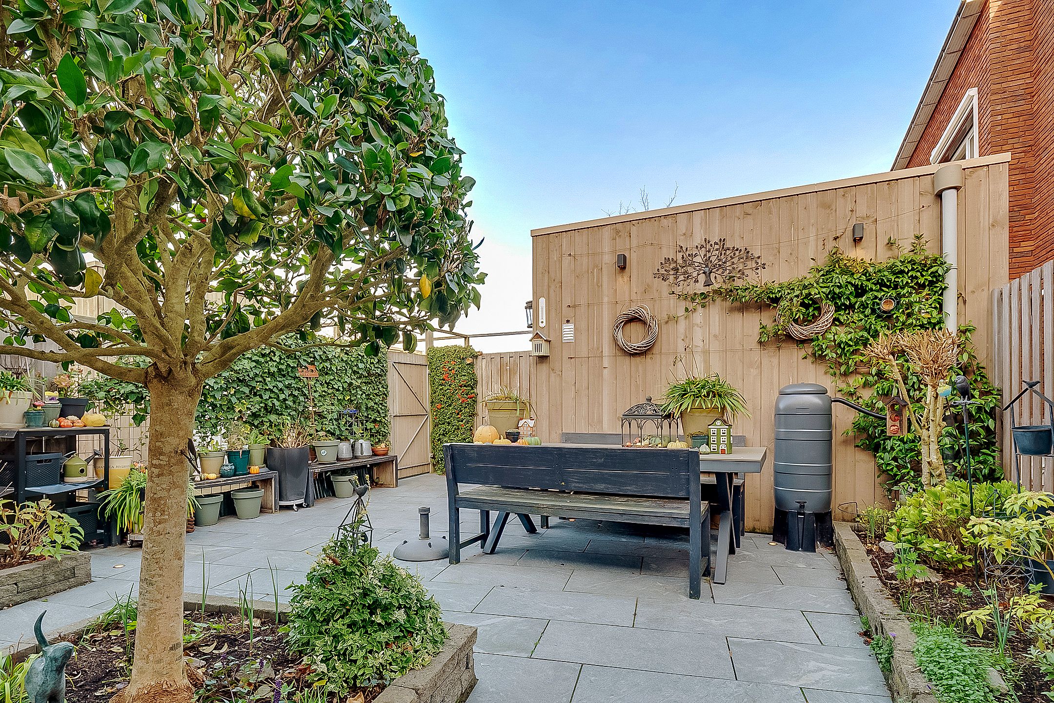 Photo 48 of Ivoorzwamsingel 3