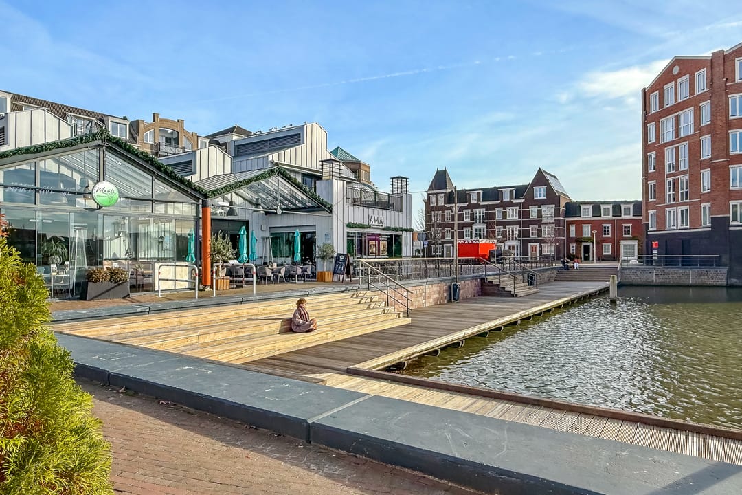 Photo 52 of Ivoorzwamsingel 3