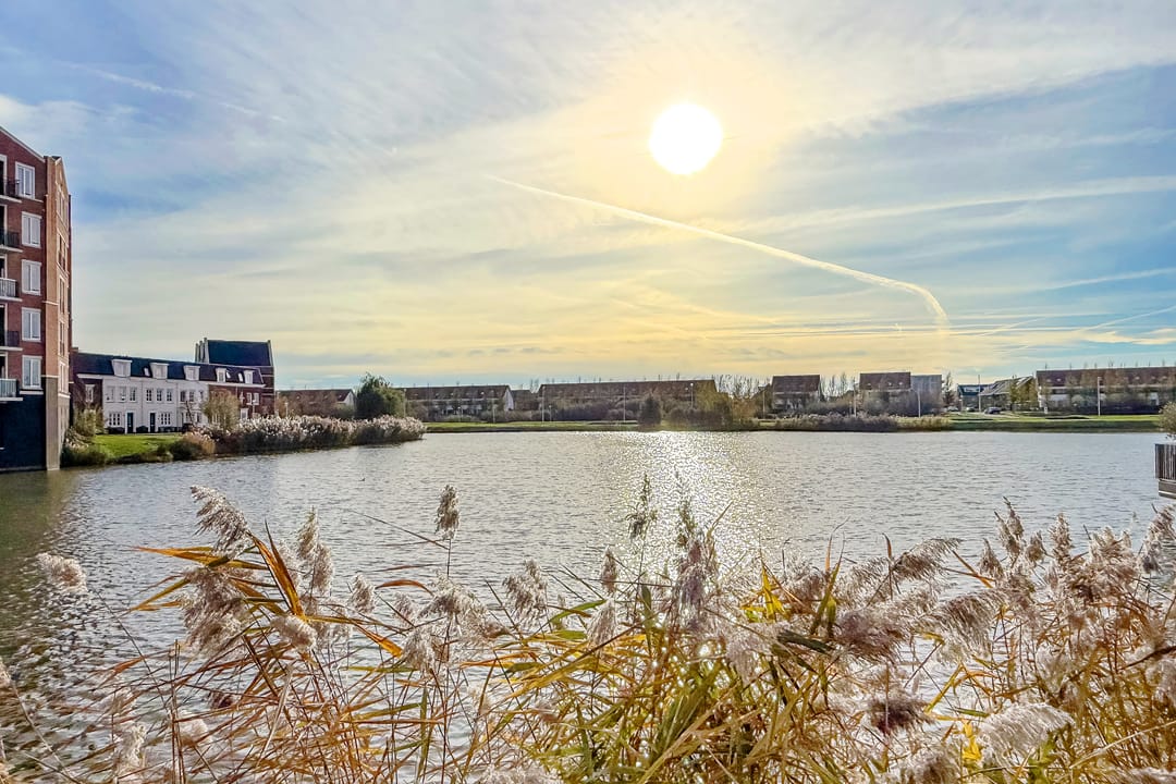 Photo 53 of Ivoorzwamsingel 3