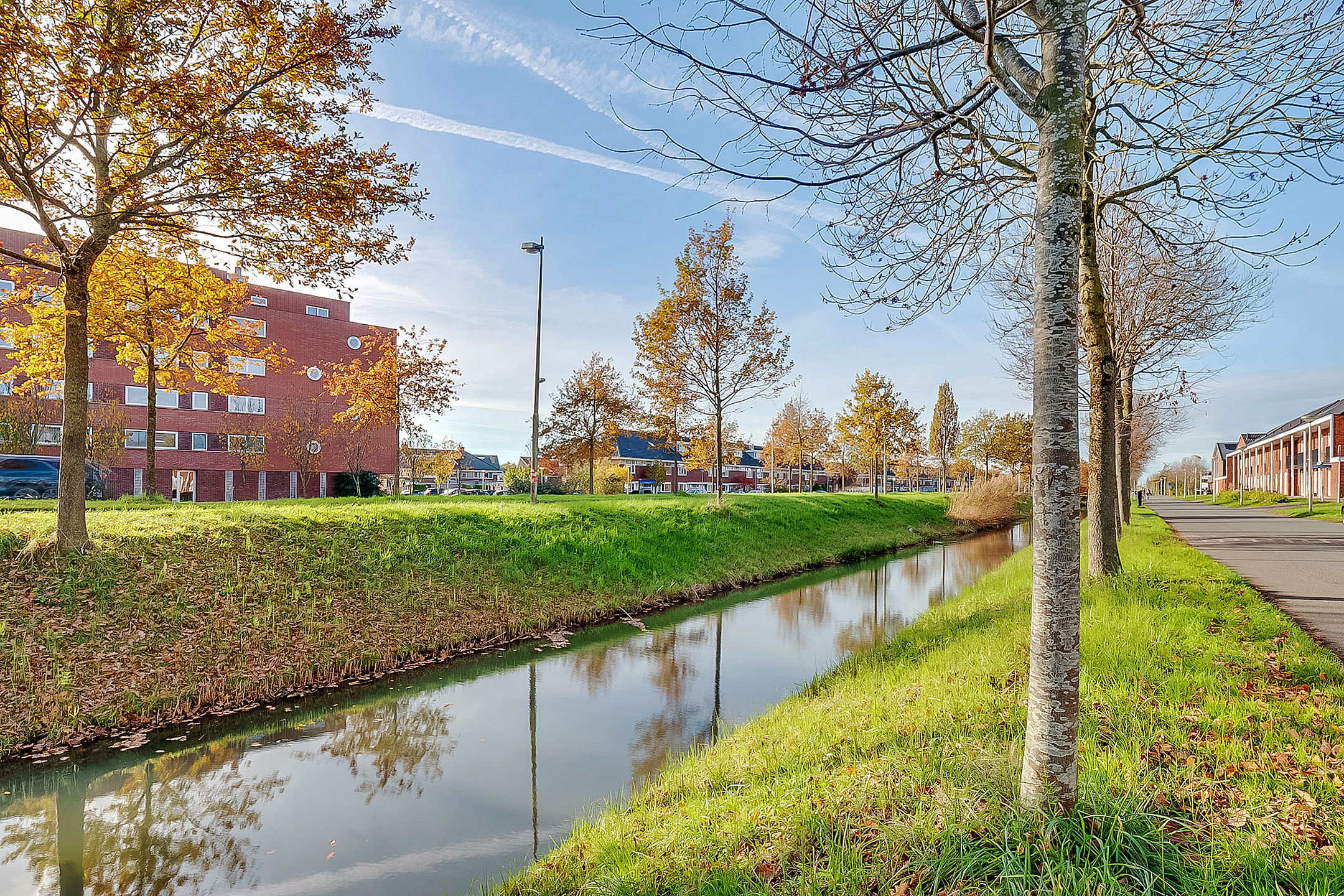 Photo 54 of Ivoorzwamsingel 3