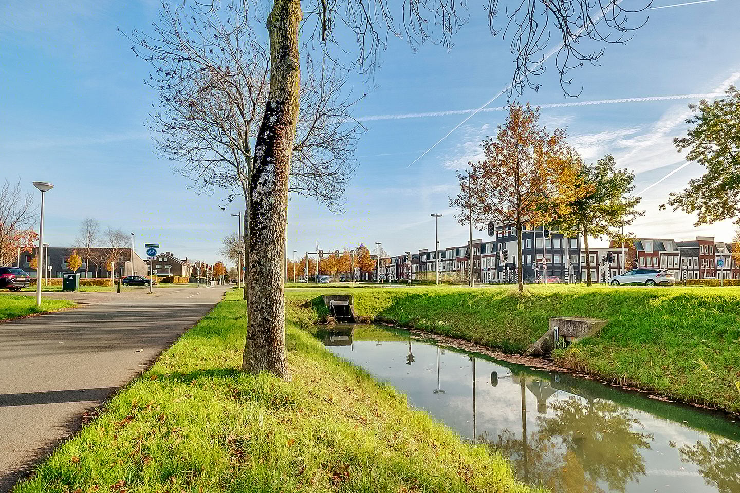 Photo 55 of Ivoorzwamsingel 3