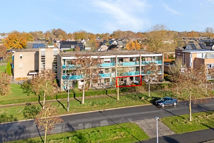 Photo 2 of Vivaldi 13