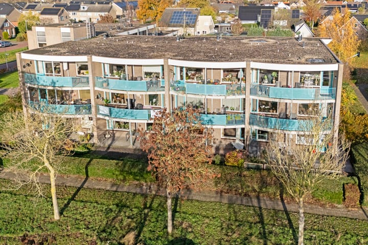 Photo 4 of Vivaldi 13