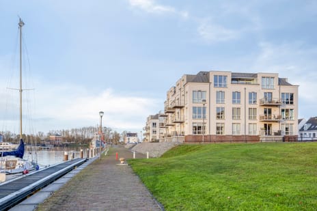 Timmer Werf thumbnail