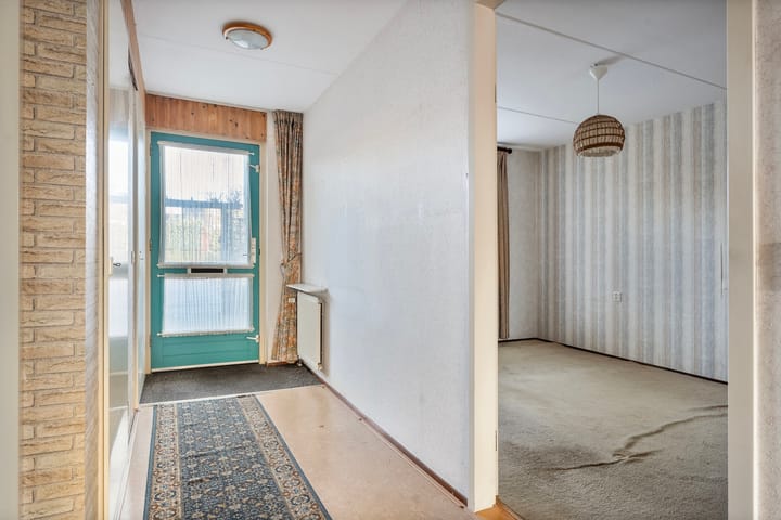 Photo 18 of Vivaldi 13