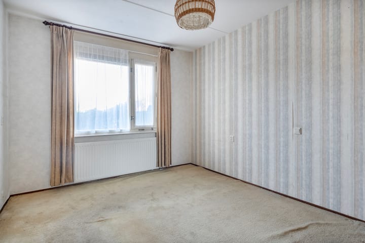 Photo 19 of Vivaldi 13