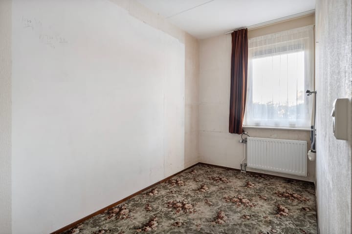 Photo 21 of Vivaldi 13