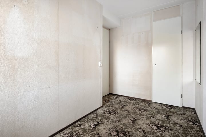 Photo 22 of Vivaldi 13