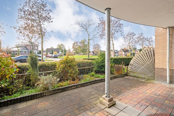 Photo 29 of Vivaldi 13