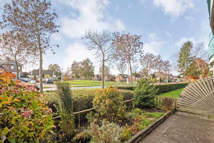 Photo 30 of Vivaldi 13