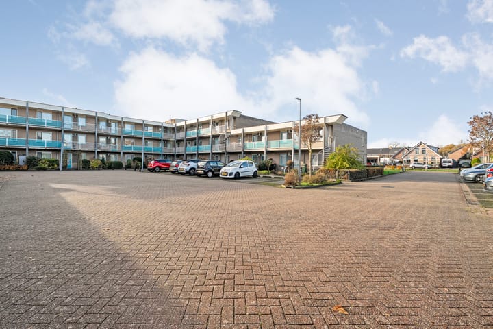 Photo 35 of Vivaldi 13