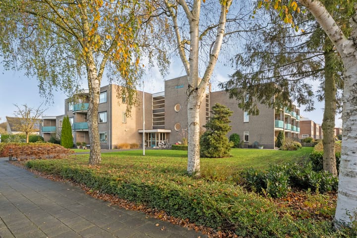 Photo 36 of Vivaldi 13