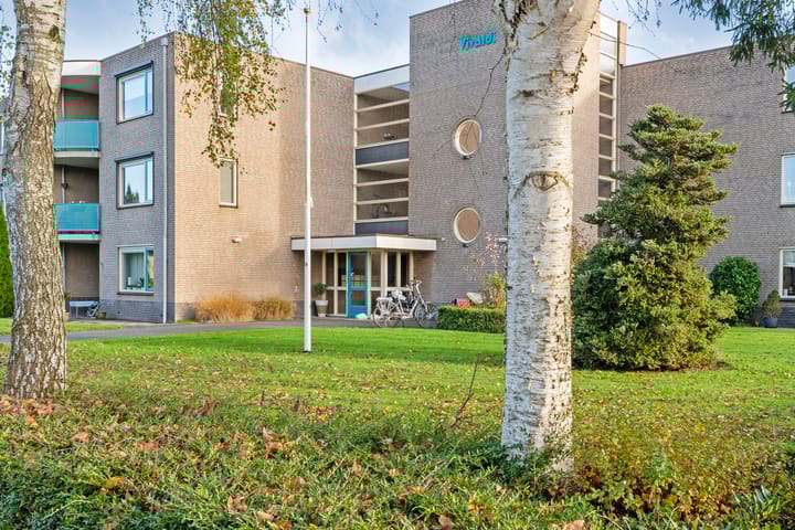 Photo 37 of Vivaldi 13